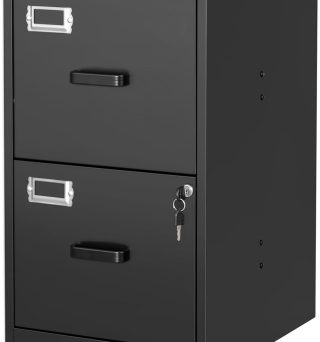 2 Drawer File Cabinet with Lock Vertical Filing Storage Cabinet Office Home Steel Vertical File Cabinets for Letter Size File Cabinet Locked,Assembly Required